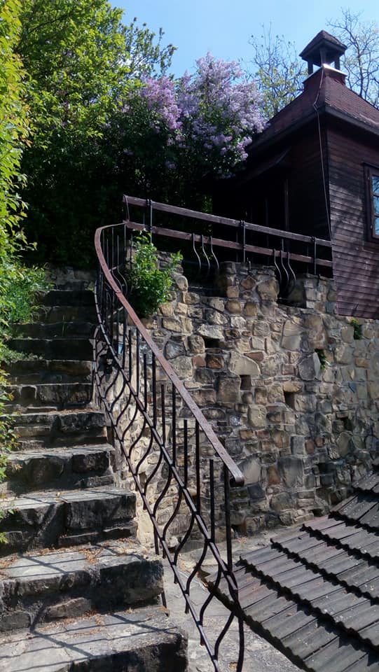 na zahradě už nám kvetou :-)