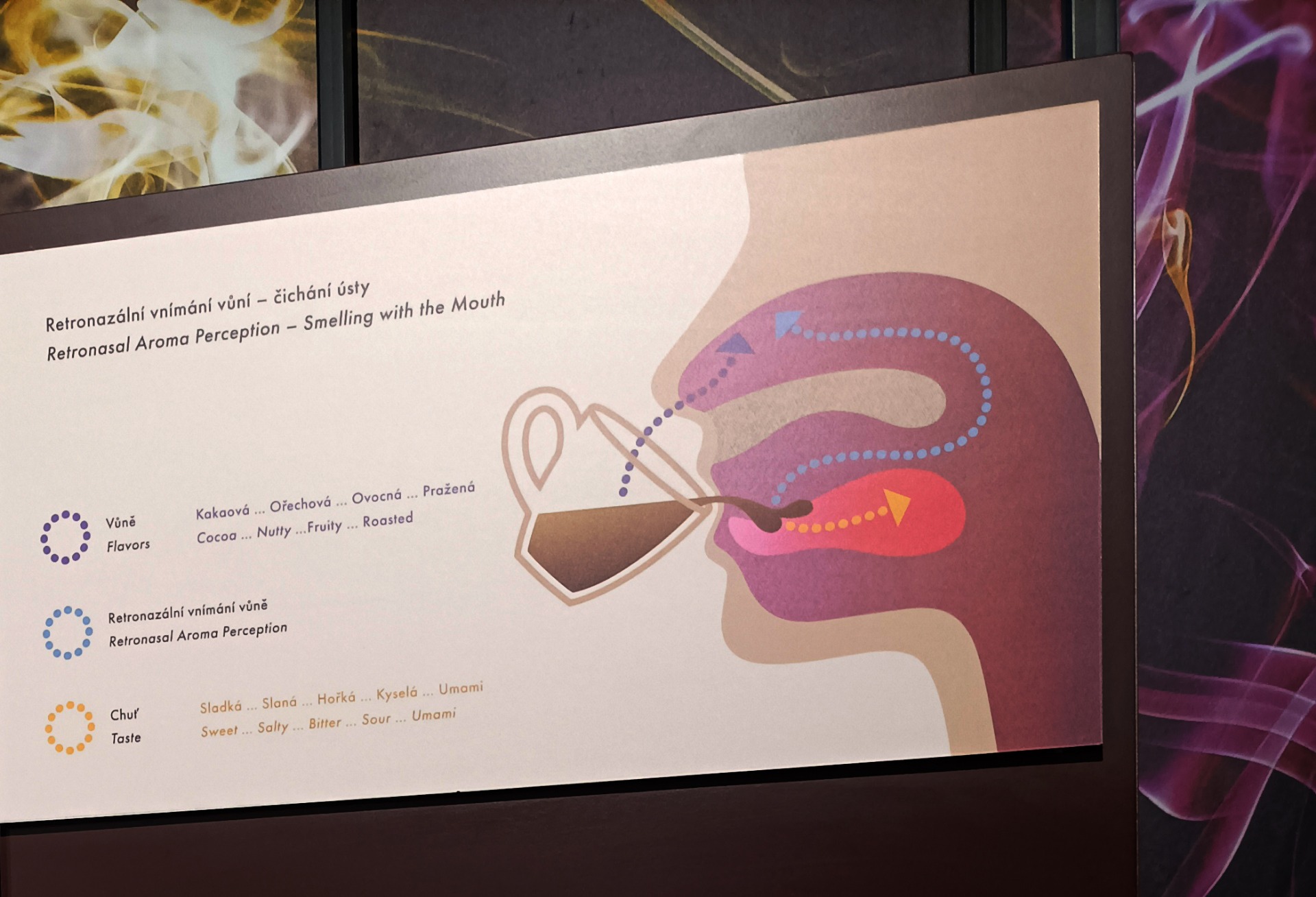 výstava COFFEE ve VIDA! Brno