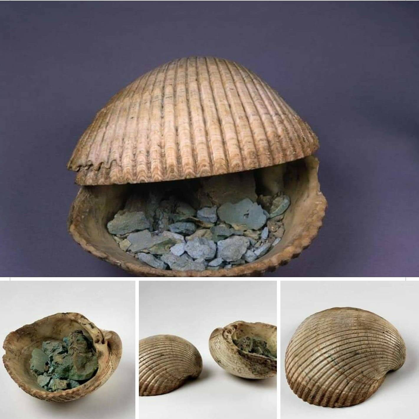 Mušle s kosmetickým pigmentem